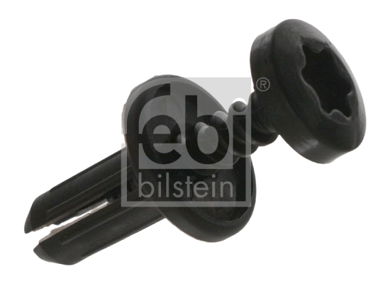 Expanding Rivet
